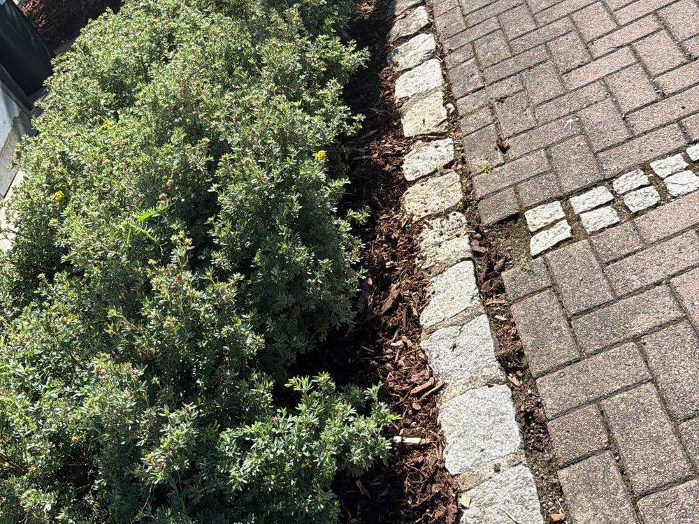 Beet mit frischem Rindenmulch, geschnittene Sträucher und sauberer Gehweg – Außenanlagenpflege durch Fruhnert Hausmeisterservice