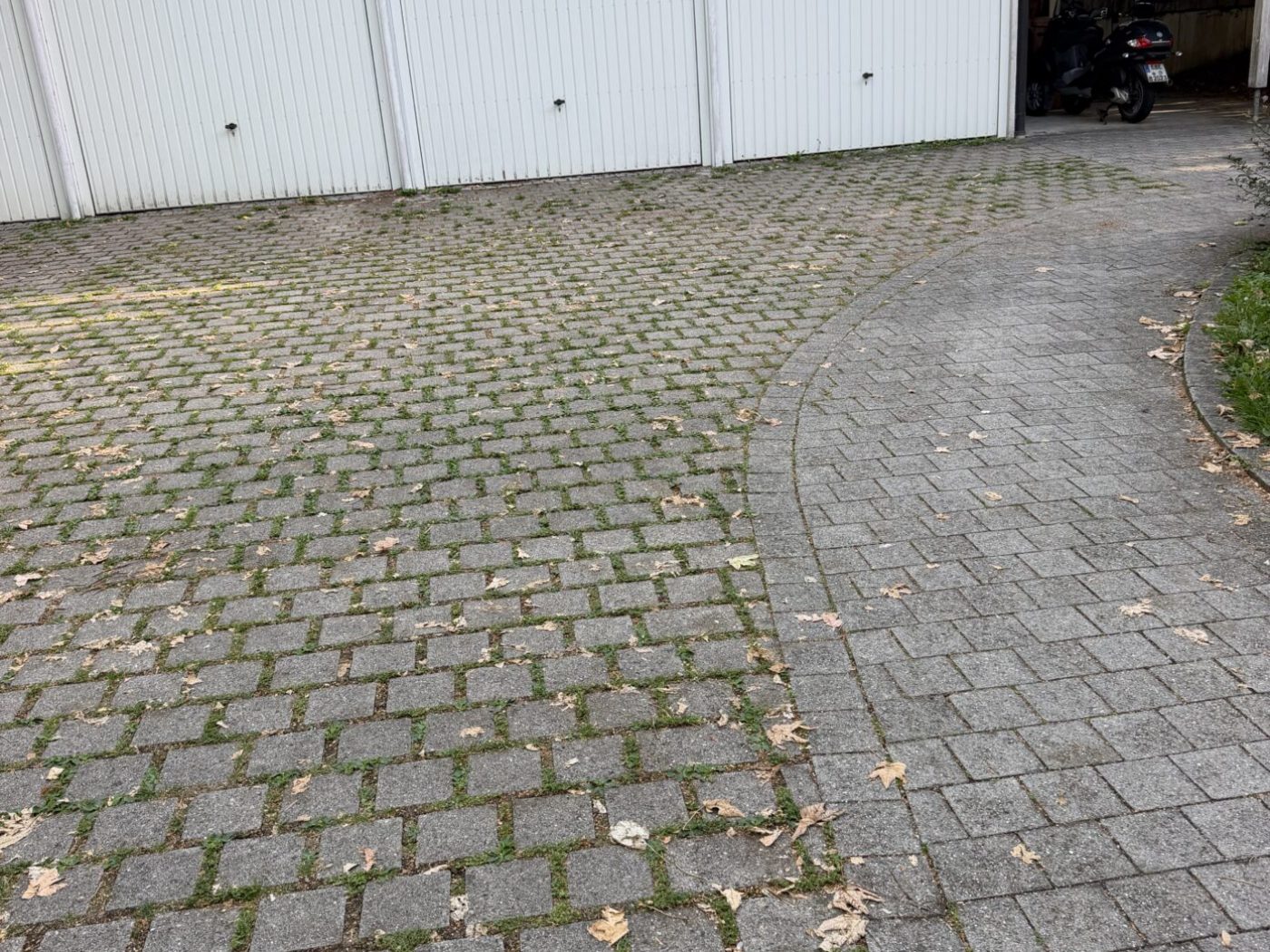 Garagenzufahrt mit Unkraut und Moos in den Pflasterfugen vor der Reinigung