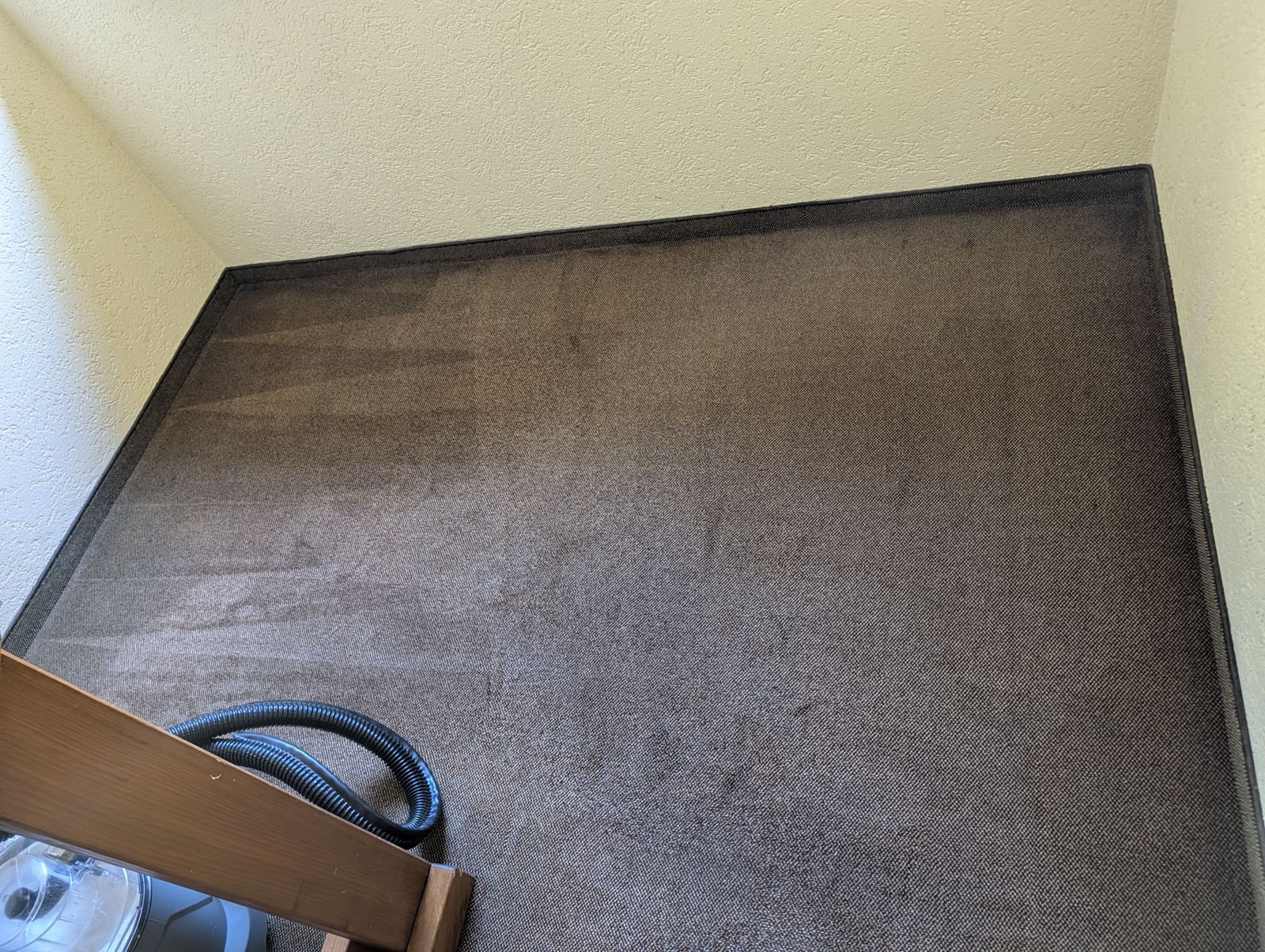Teppichboden im Treppenhaus nach der Teppichreinigung mit Sprühextraktion